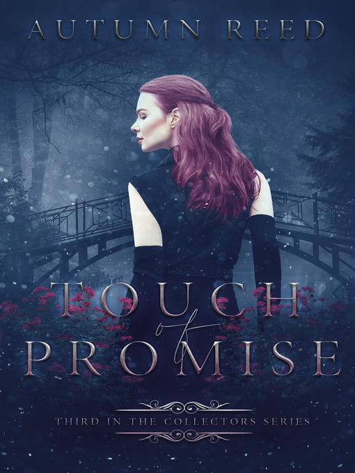 Cover image for Touch of Promise